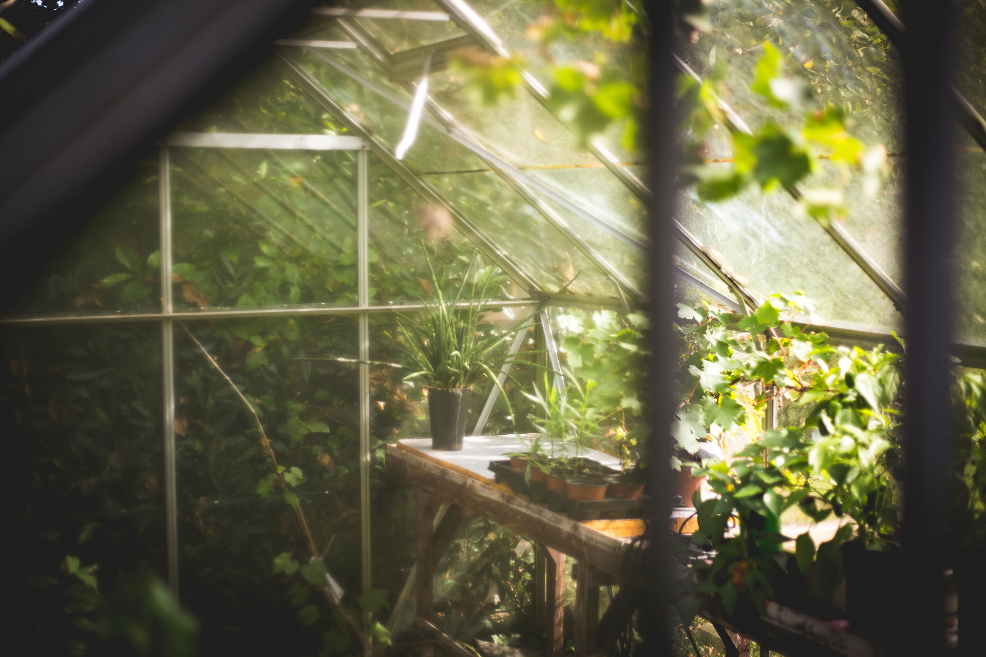 greenhouses